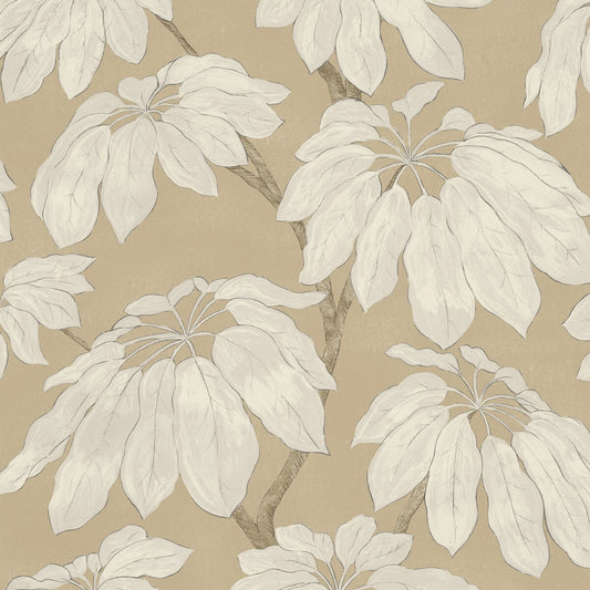 PURE EDIT PONDICHERRY LINEN