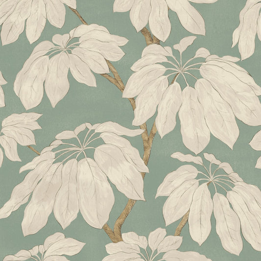 PURE EDIT PONDICHERRY SOFT TEAL