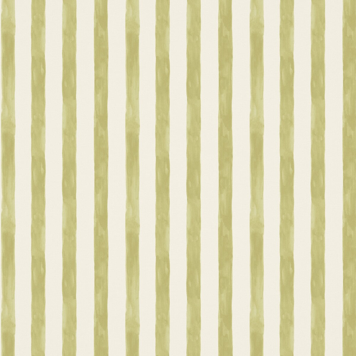 PURE EDIT TASSA PETITE ASPARAGUS