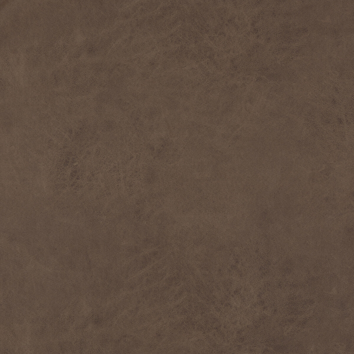 BAKER LIFESTYLE LEXHAM TRUFFLE