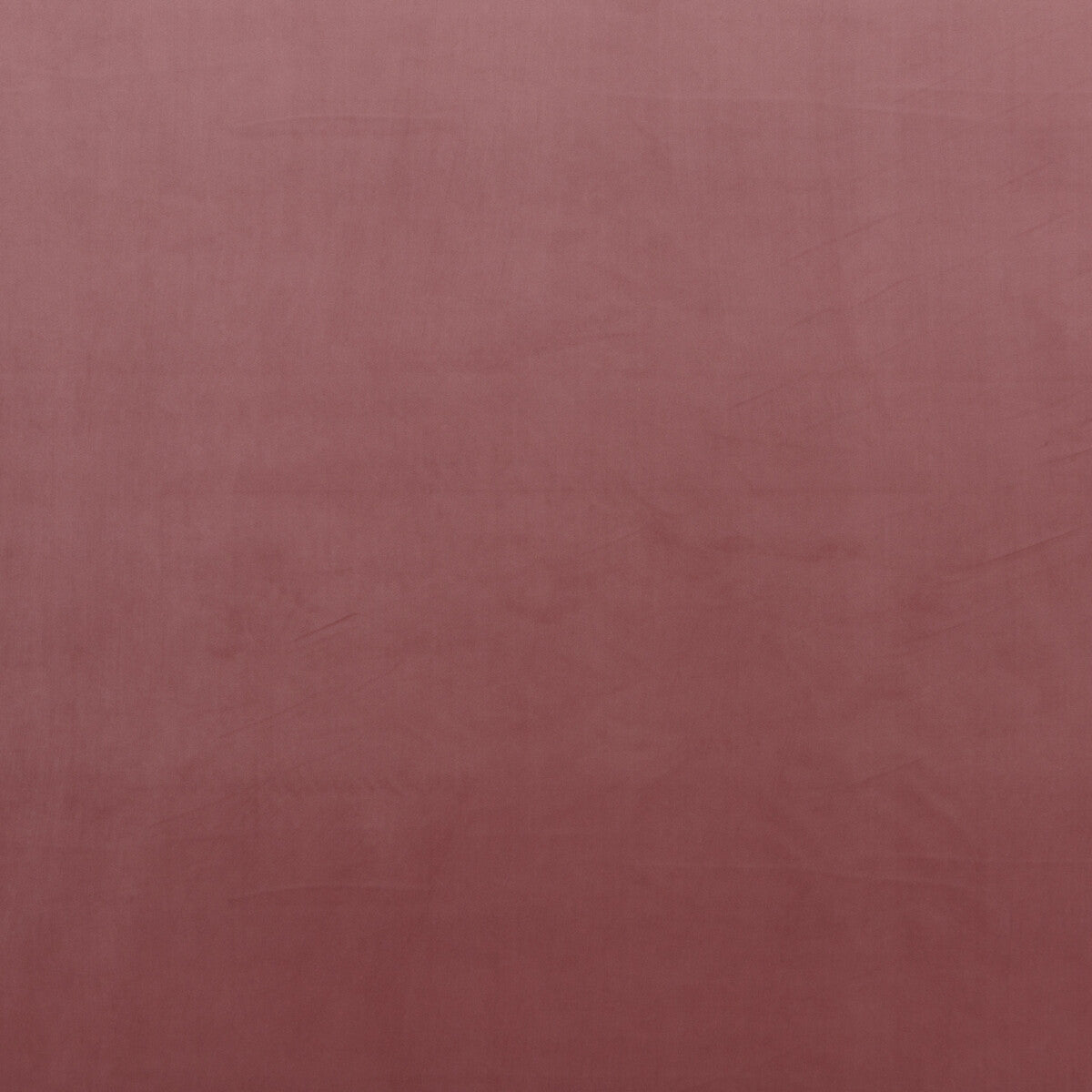 BAKER LIFESTYLE MONTPELLIER VELVET ROSE