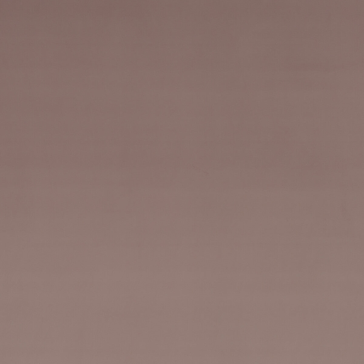 BAKER LIFESTYLE MONTPELLIER VELVET BLUSH