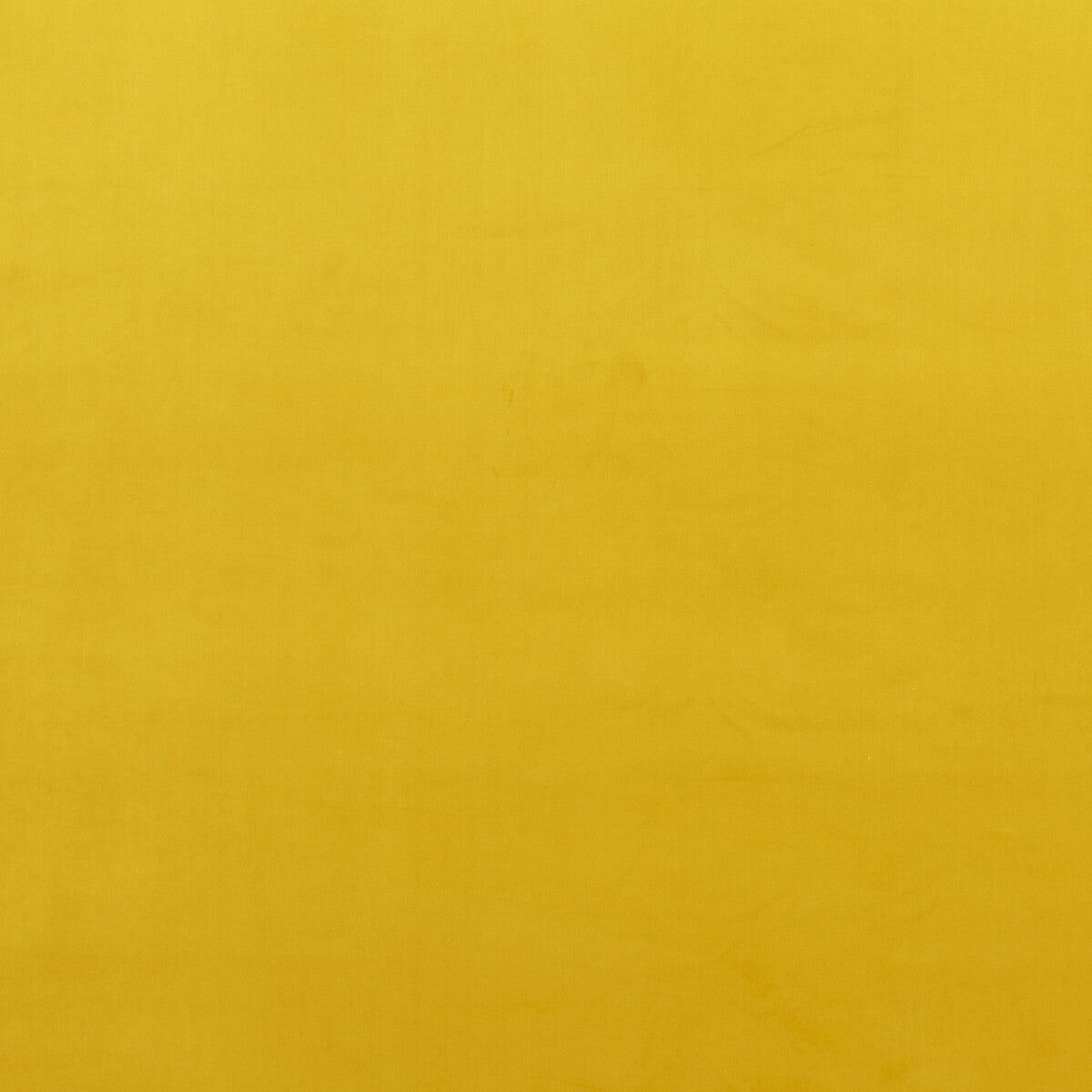 BAKER LIFESTYLE MONTPELLIER VELVET OCHRE