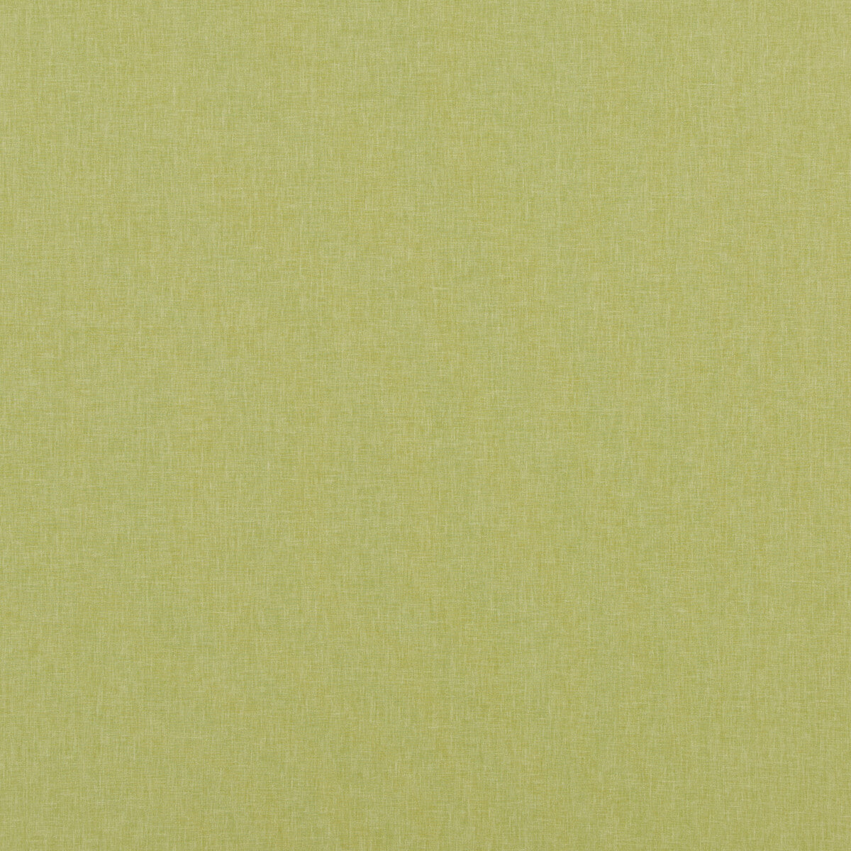 BAKER LIFESTYLE CARNIVAL PLAIN LIME