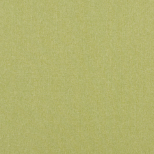BAKER LIFESTYLE CARNIVAL PLAIN LIME