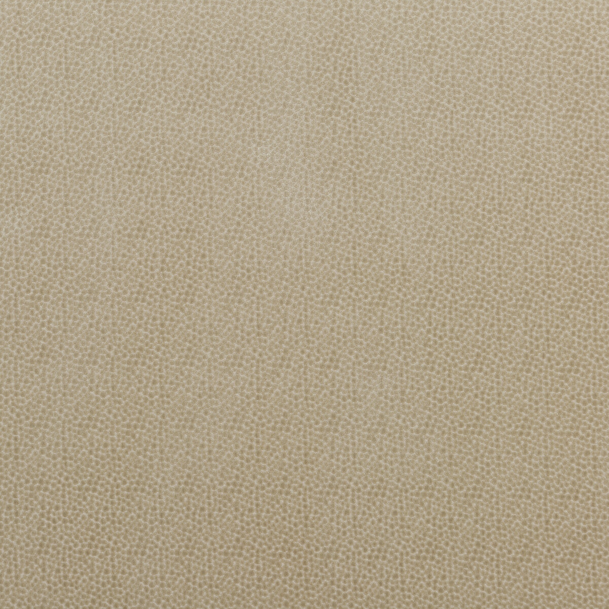 BAKER LIFESTYLE SALSA SPOT PARCHMENT