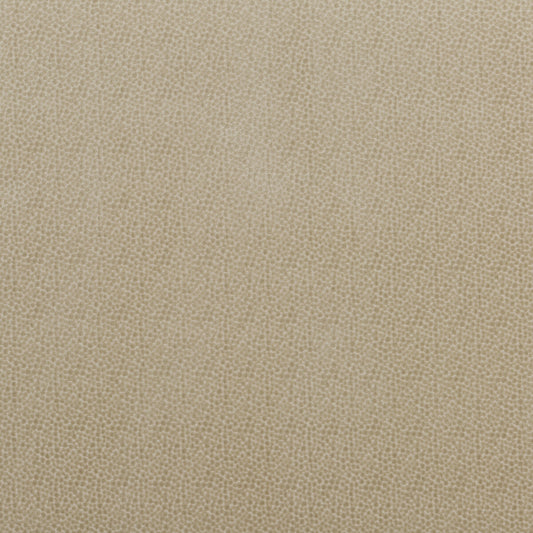 BAKER LIFESTYLE SALSA SPOT PARCHMENT