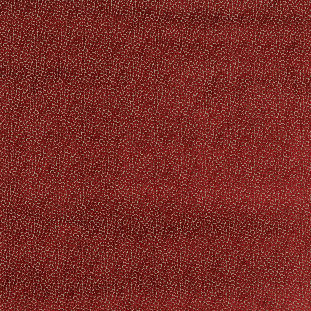 BAKER LIFESTYLE SALSA SPOT RED