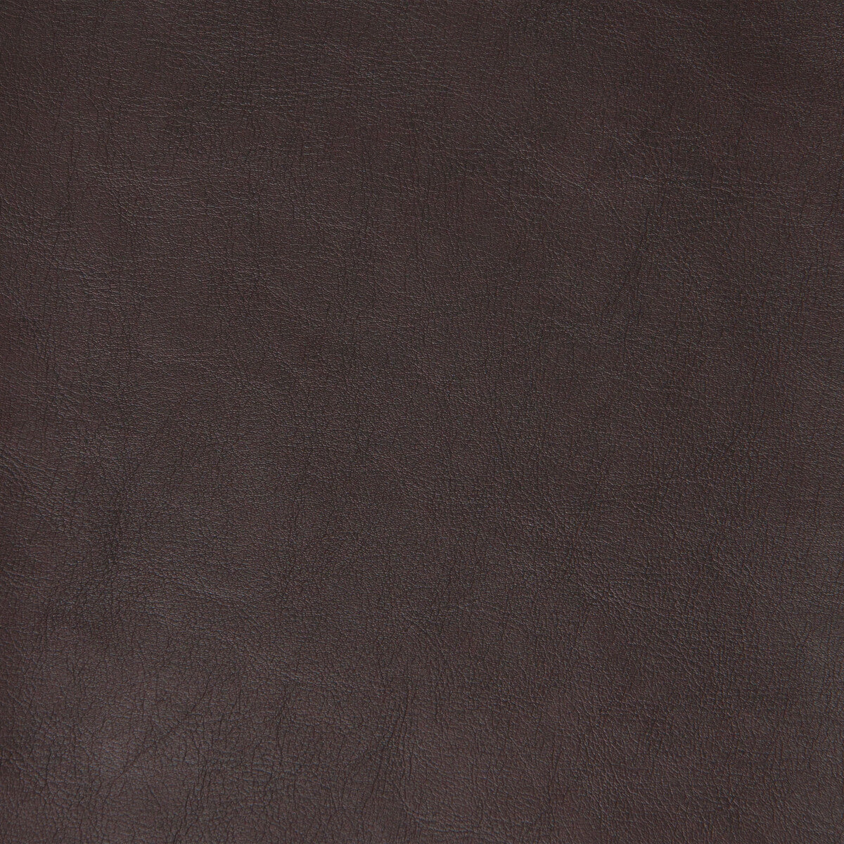 KRAVET DESIGN KRAVET DESIGN PLATO-6