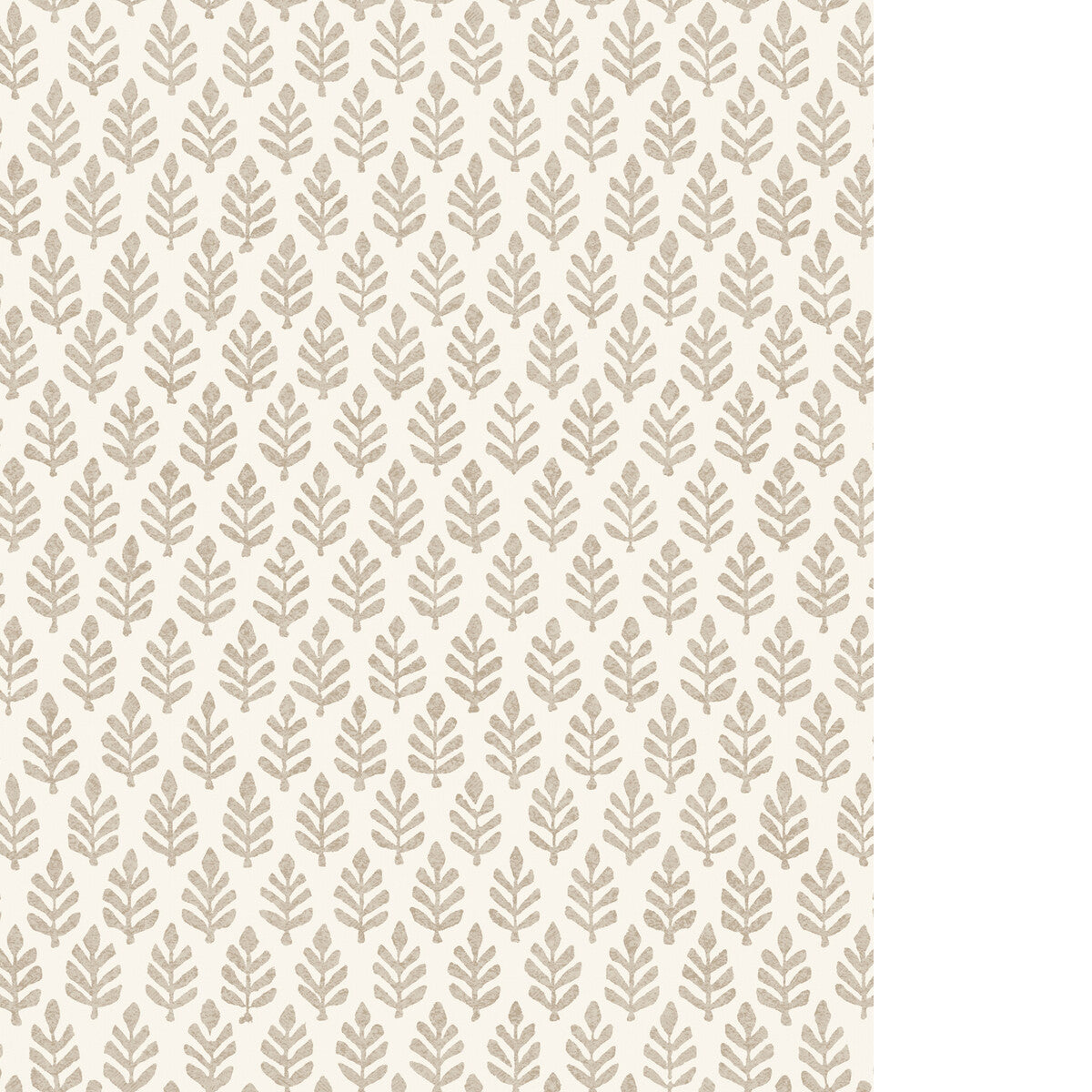 PURE EDIT FOLIA WP STONE
