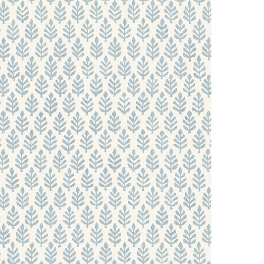PURE EDIT FOLIA WP SKY