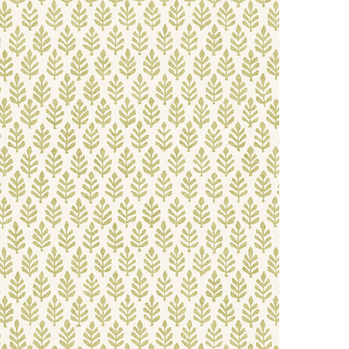 PURE EDIT FOLIA WP MOSS