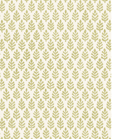 PURE EDIT FOLIA WP MOSS