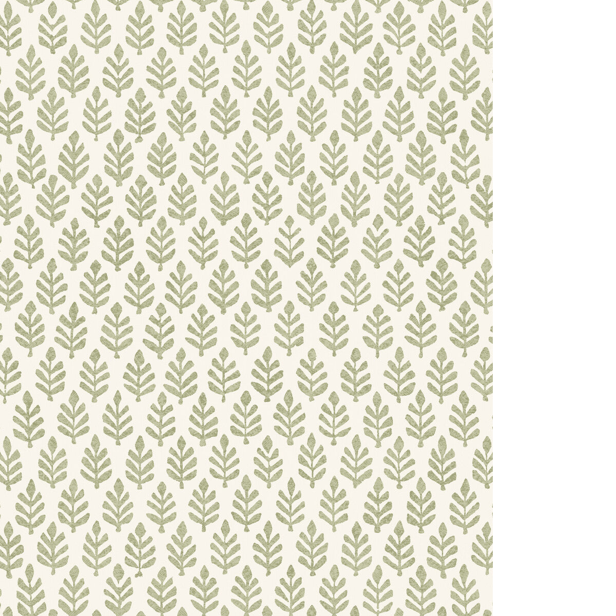PURE EDIT FOLIA WP SAGE