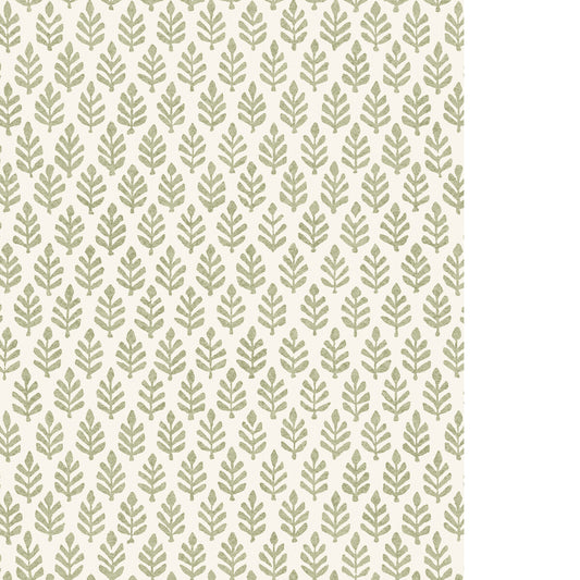 PURE EDIT FOLIA WP SAGE
