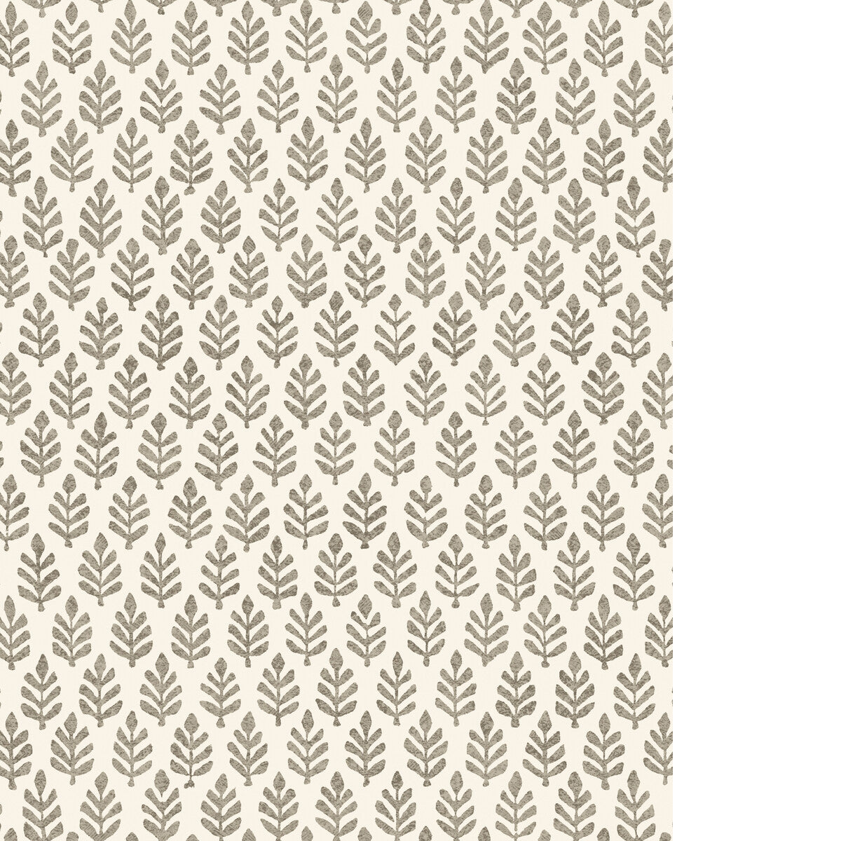 PURE EDIT FOLIA WP ESPRESSO