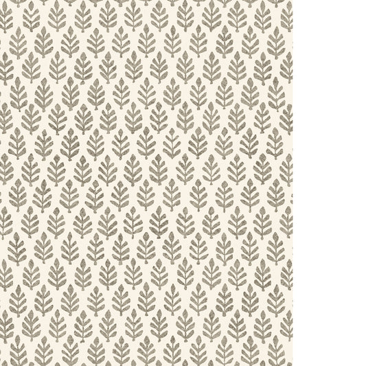 PURE EDIT FOLIA WP ESPRESSO