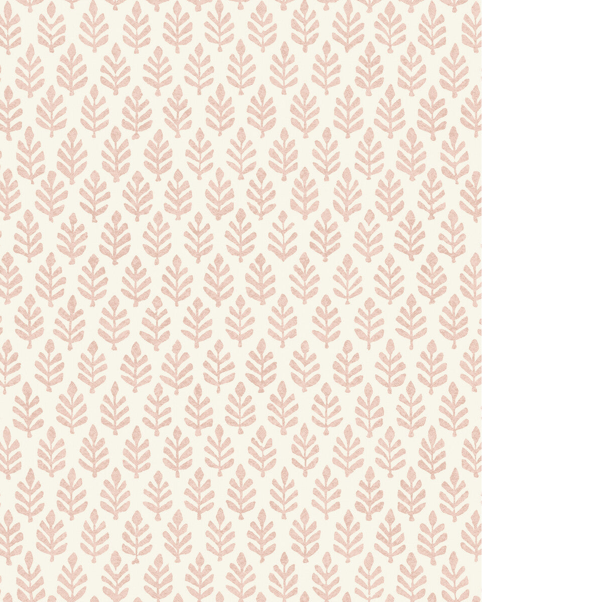 PURE EDIT FOLIA WP ROSE