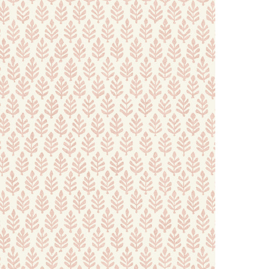 PURE EDIT FOLIA WP ROSE