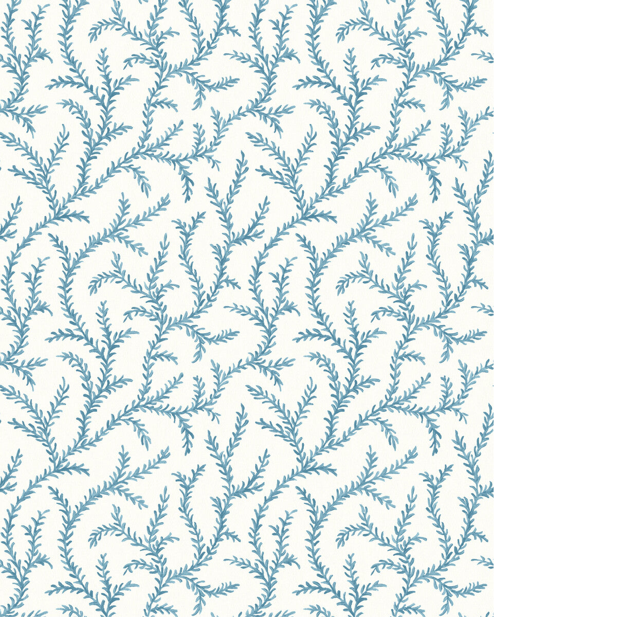 PURE EDIT INAYA WP CHAMBRAY