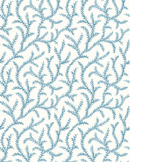 PURE EDIT INAYA WP CHAMBRAY