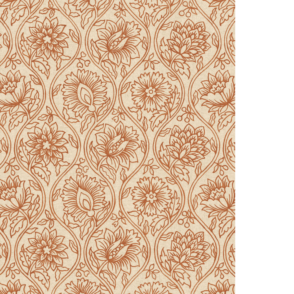PURE EDIT LOTUS WP GINGER