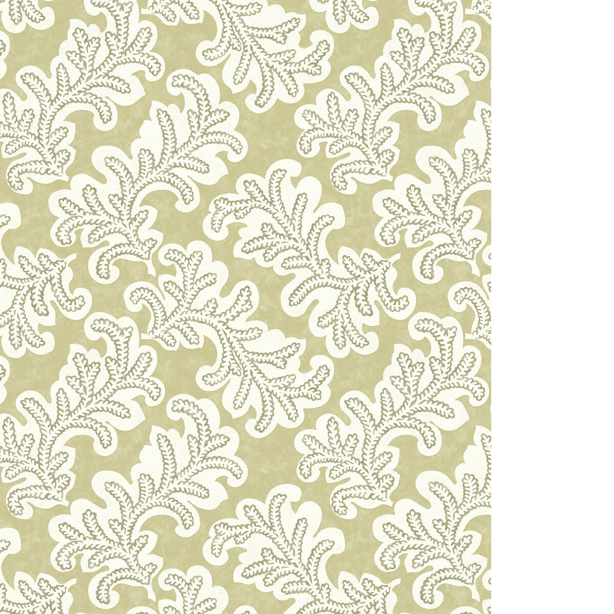 PURE EDIT ODILA WP WILLOW