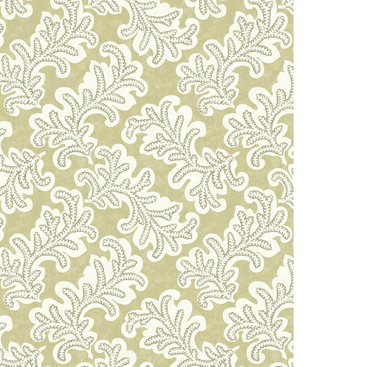 PURE EDIT ODILA WP WILLOW