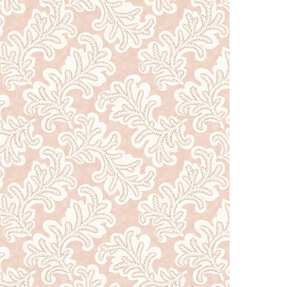 PURE EDIT ODILA WP ROSE