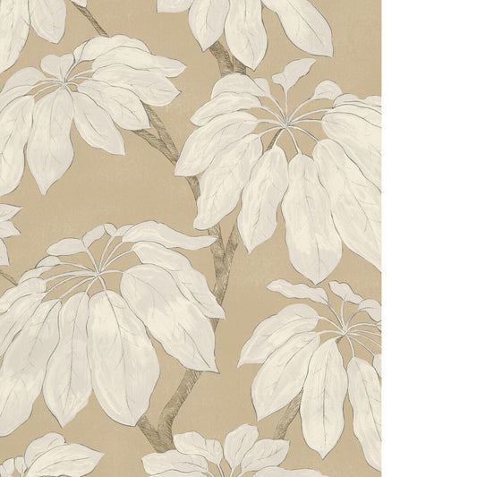 PURE EDIT PONDICHERRY WP LINEN