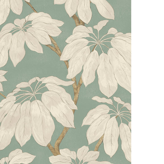 PURE EDIT PONDICHERRY WP SOFT TEAL