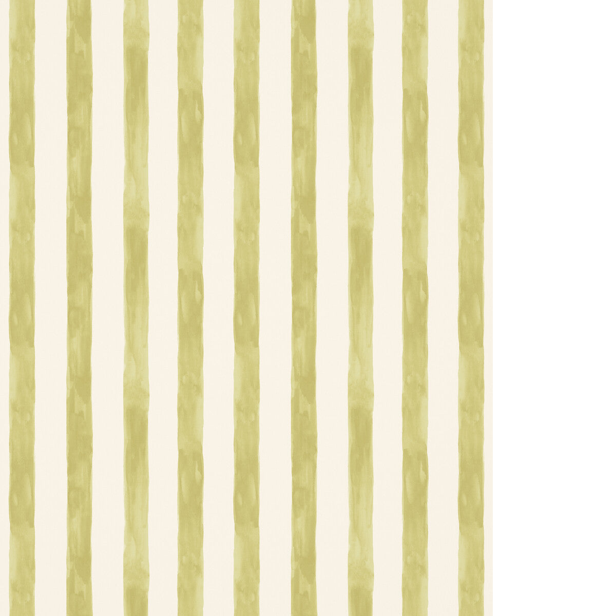 PURE EDIT TASSA PETITE WP ASPARAGUS