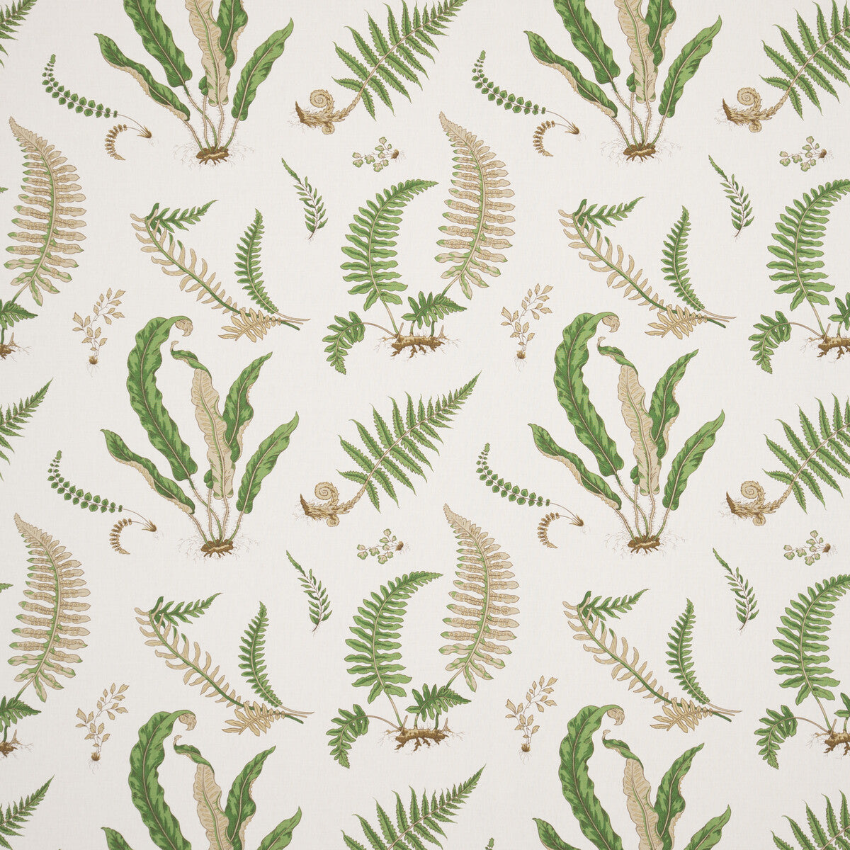 G P & J BAKER FERNS - LINEN STONE/GREEN