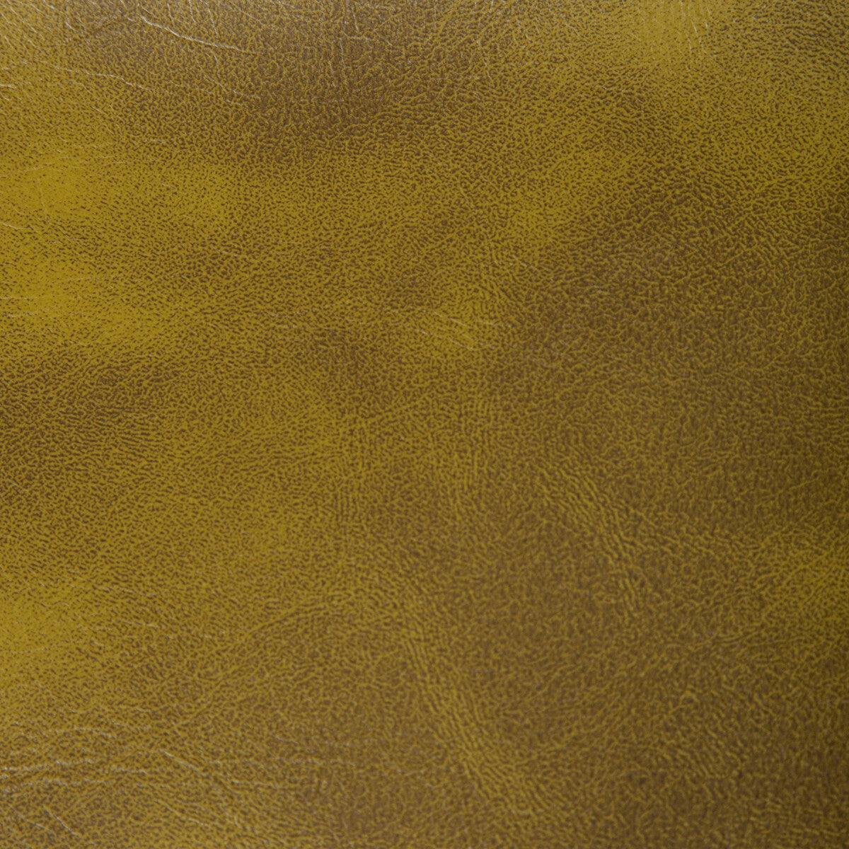 KRAVET CONTRACT RAMBLER CACTUS