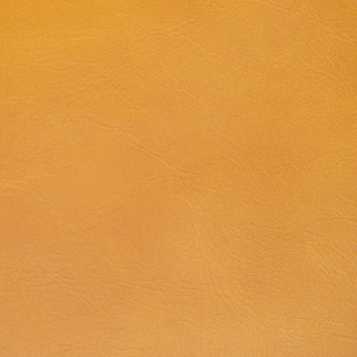 KRAVET CONTRACT RAMBLER SAFFRON
