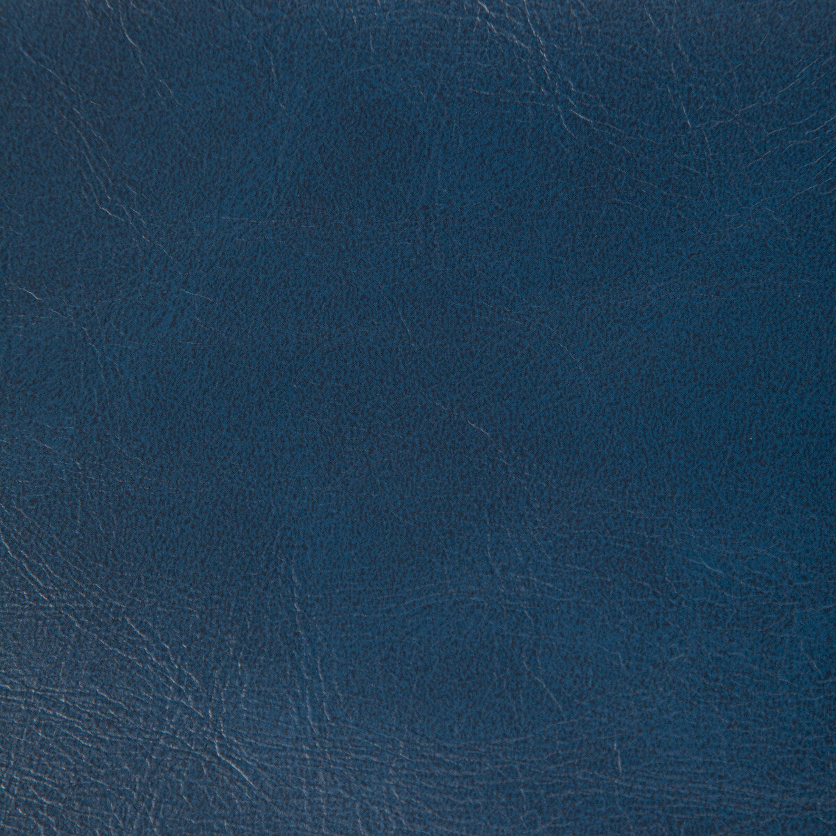 KRAVET CONTRACT RAMBLER COBALT