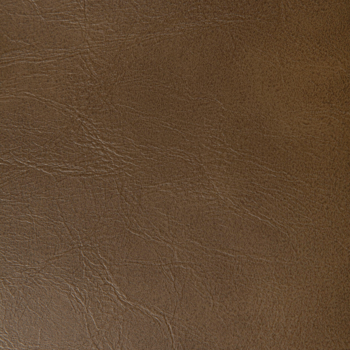 KRAVET CONTRACT RAMBLER CHICORY