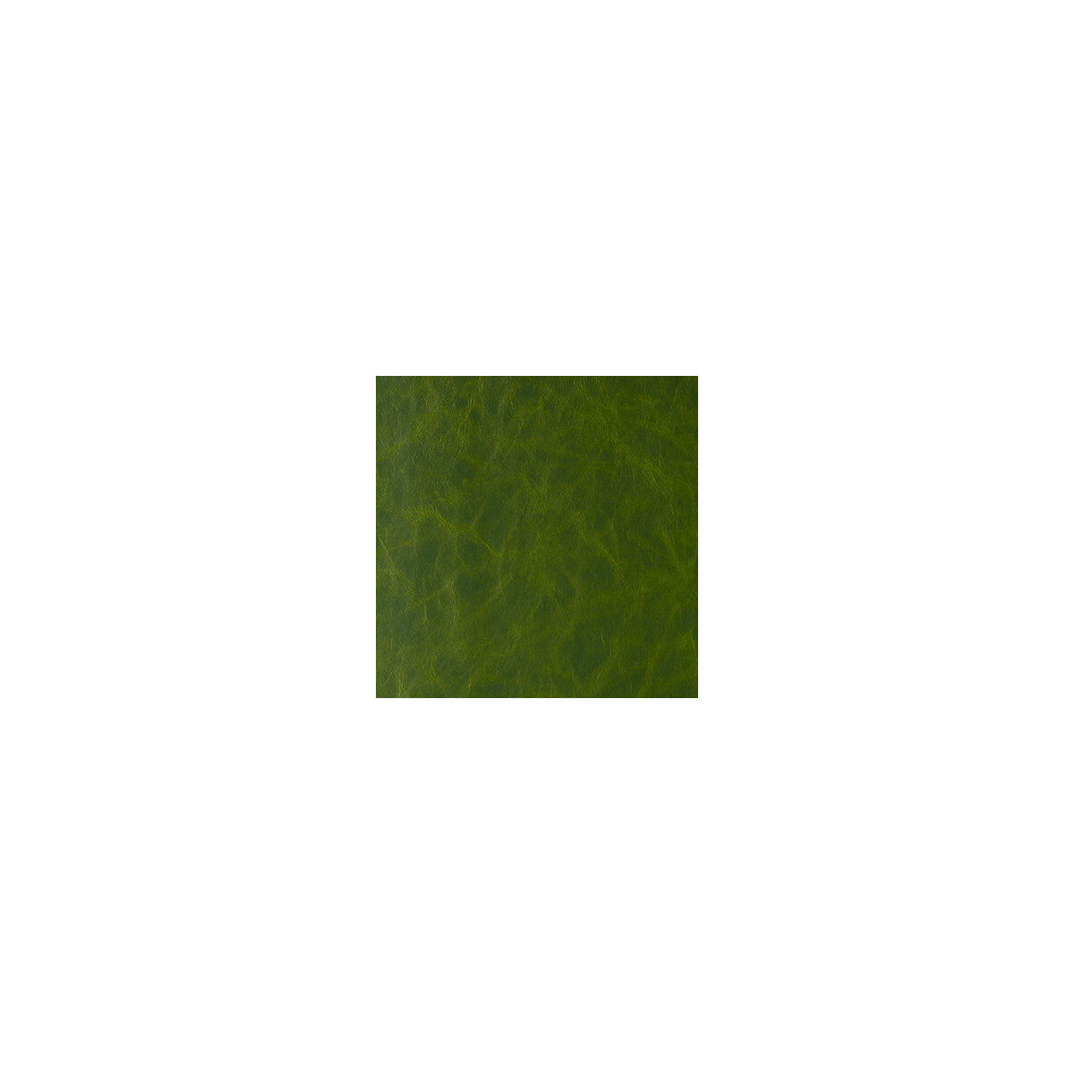 KRAVET DESIGN RANDWICK JUNGLE LOVE