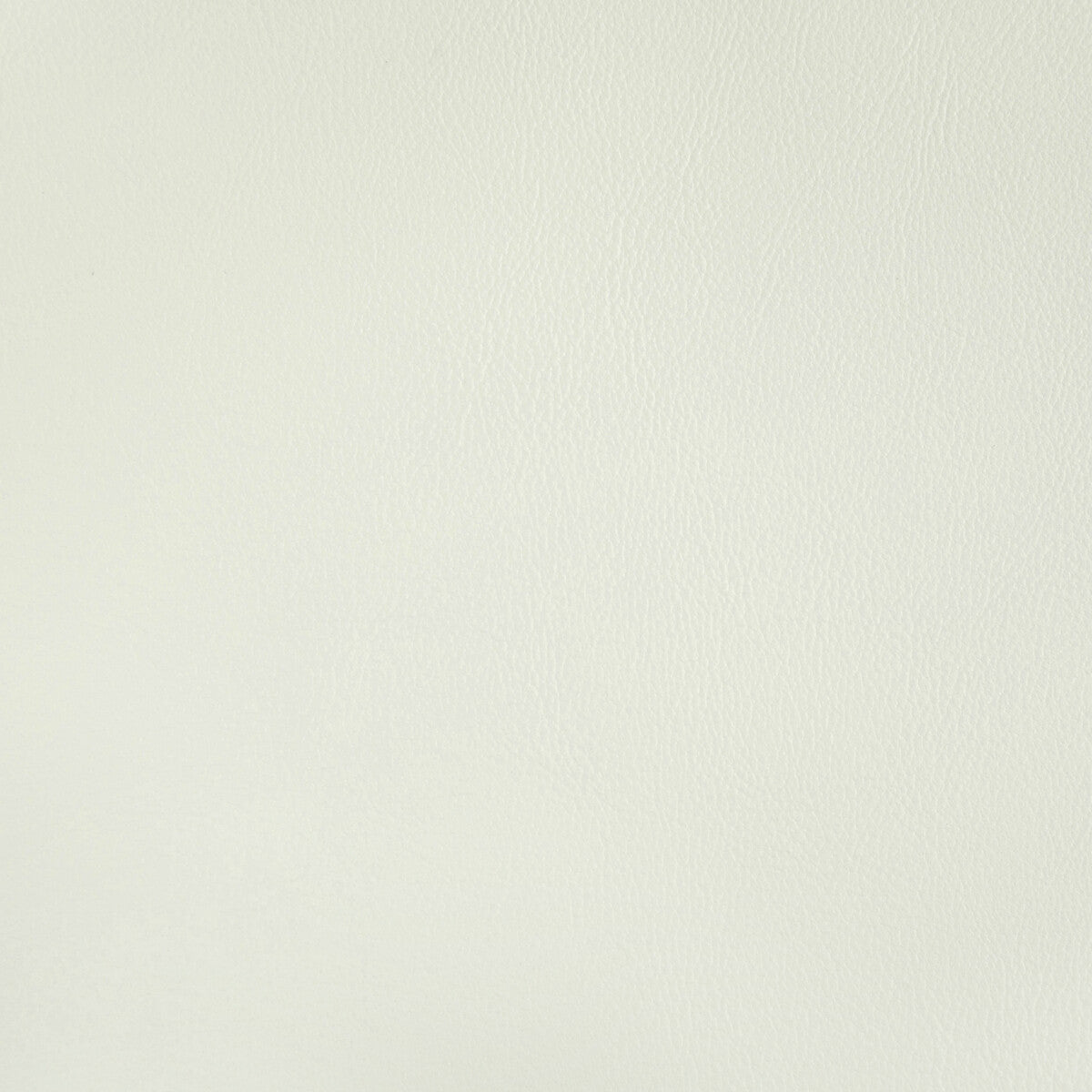 KRAVET CONTRACT RAND GESSO