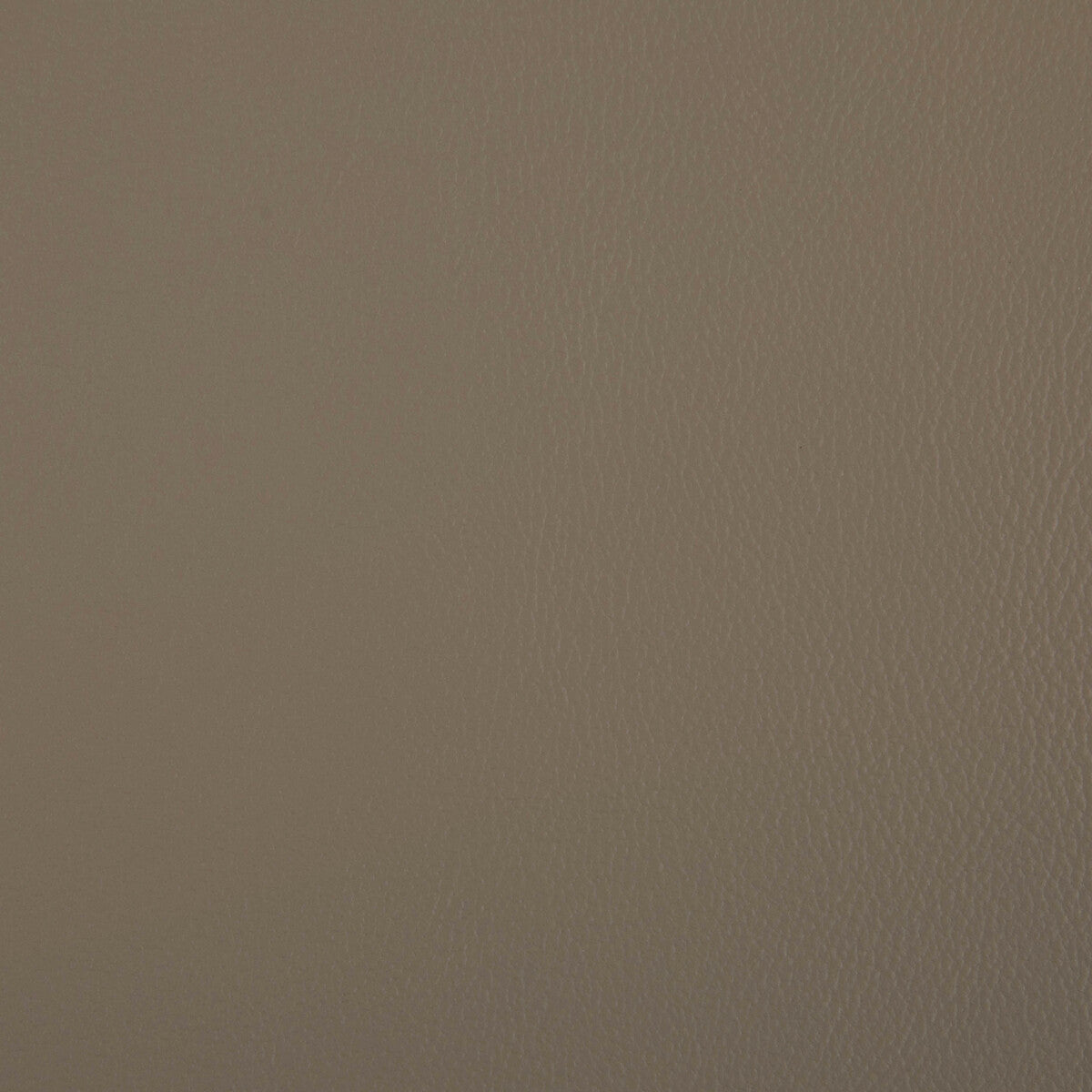 KRAVET CONTRACT RAND DUNE