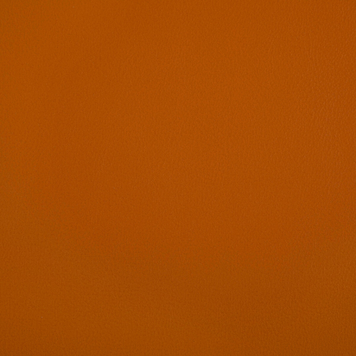 KRAVET CONTRACT RAND SQUASH