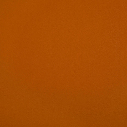 KRAVET CONTRACT RAND SQUASH