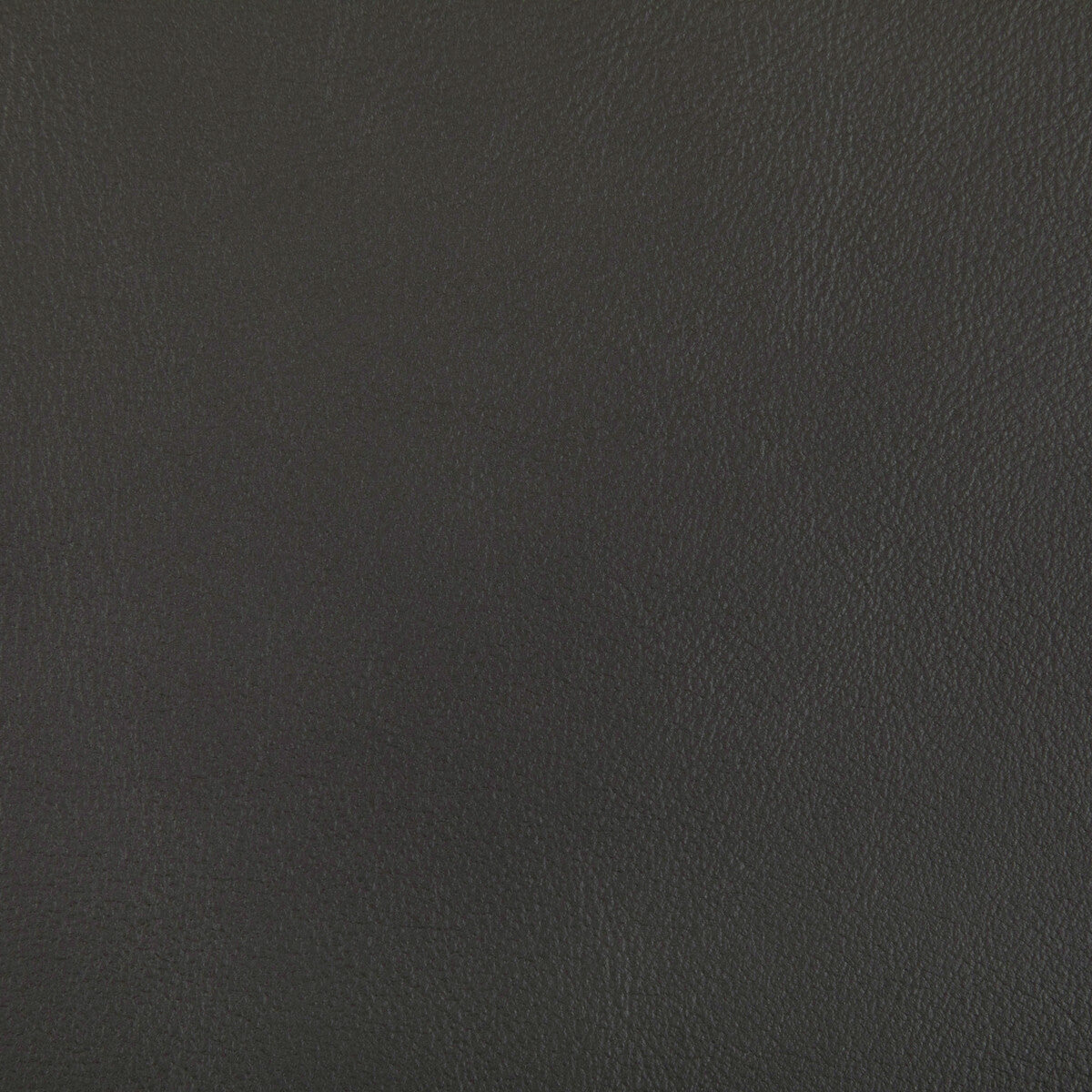 KRAVET CONTRACT RAND SHADOW
