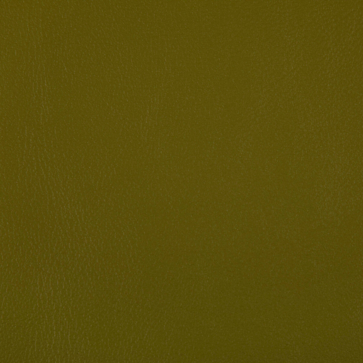 KRAVET CONTRACT RAND WASABI