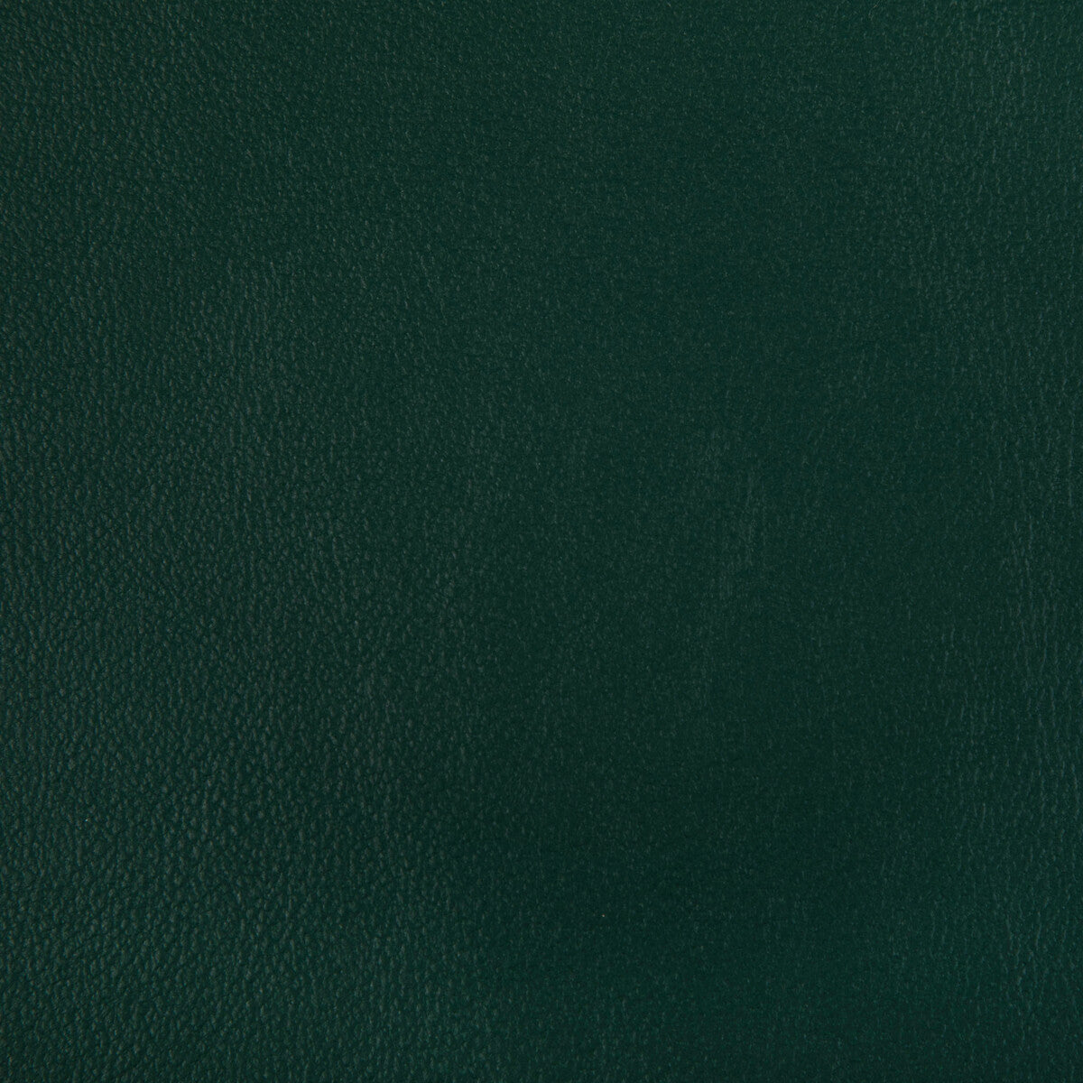 KRAVET CONTRACT RAND FOREST