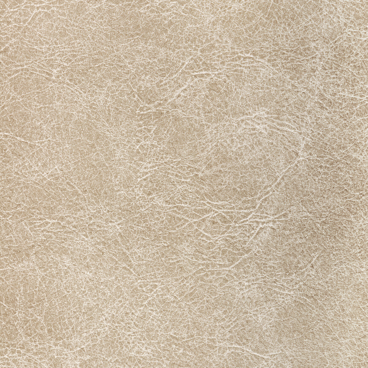 KRAVET CONTRACT REBOOT FOSSIL