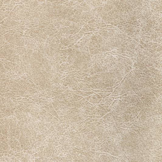 KRAVET CONTRACT REBOOT FOSSIL