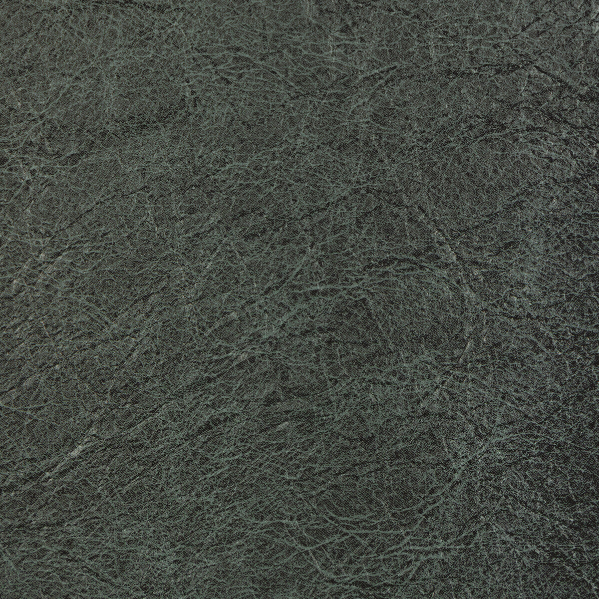 KRAVET CONTRACT REBOOT NEPTUNE