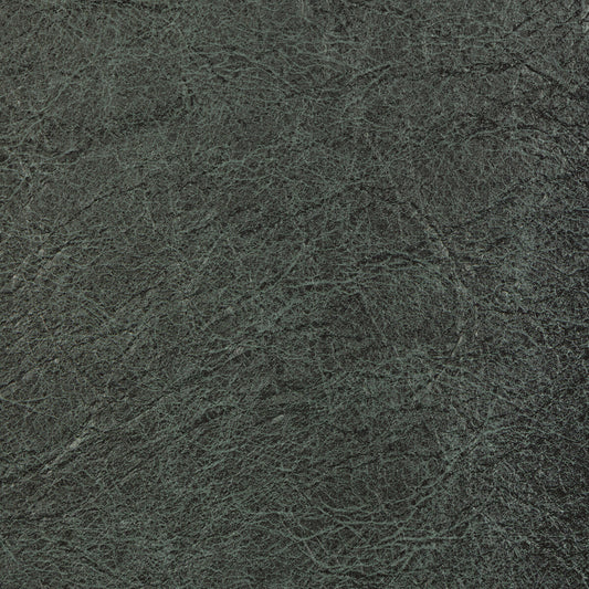 KRAVET CONTRACT REBOOT NEPTUNE