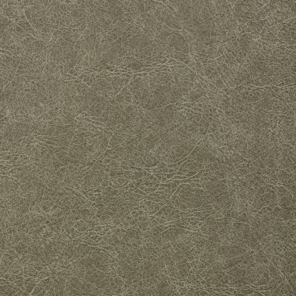 KRAVET CONTRACT REBOOT CROCODILE